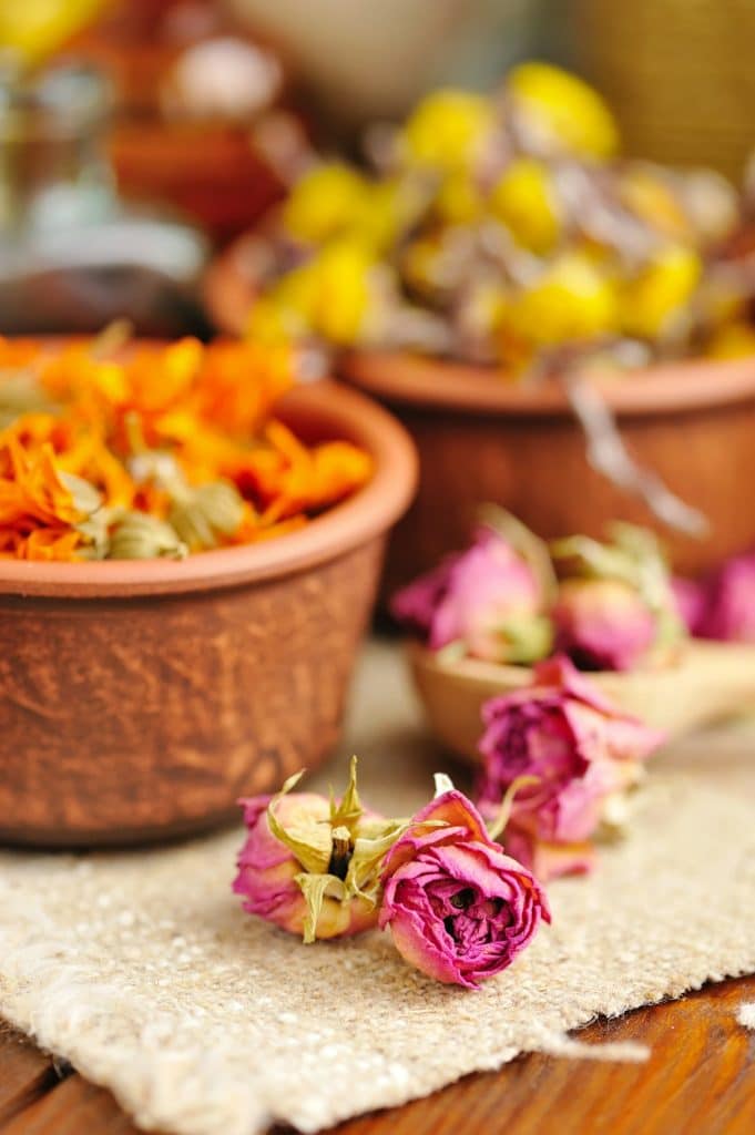 Dried flowers rose, herbal medicine